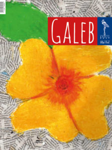 Galeb 63-8